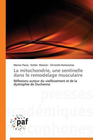 La mitochondrie, une sentinelle dans le remodelage musculaire de Marion Pauly