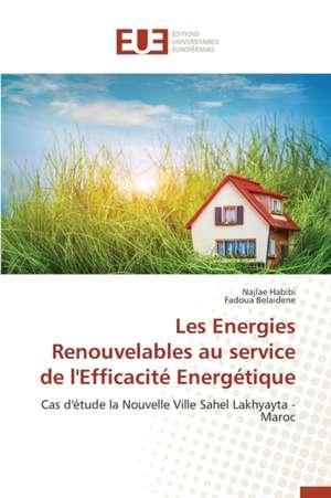 Les Energies Renouvelables Au Service de L'Efficacite Energetique: Aspects Cliniques, Electriques Et Therapeutiques de Najlae Habibi