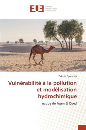 Vulnerabilite a la Pollution Et Modelisation Hydrochimique