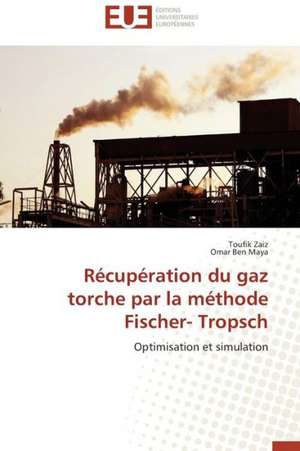 Recuperation Du Gaz Torche Par La Methode Fischer- Tropsch: L'Heritage D'Ovide Dans La Poesie de La Renaissance de Toufik Zaiz