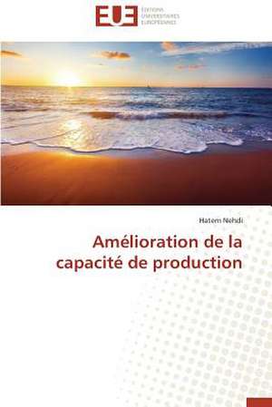 Amelioration de La Capacite de Production: Petrologie, Geochimie Isotopique Et Geochronologie de Hatem Nehdi