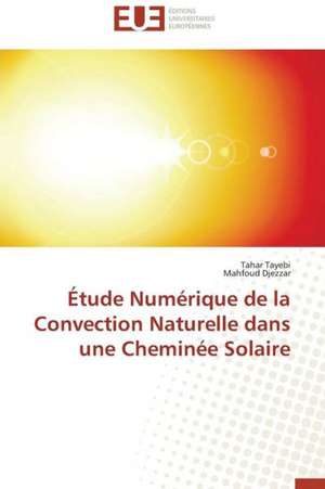 Etude Numerique de La Convection Naturelle Dans Une Cheminee Solaire: La Boucherie Exhumee de Tahar Tayebi