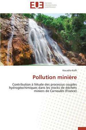 Pollution Miniere: Quel Test Choisir? de Kouadio Koffi