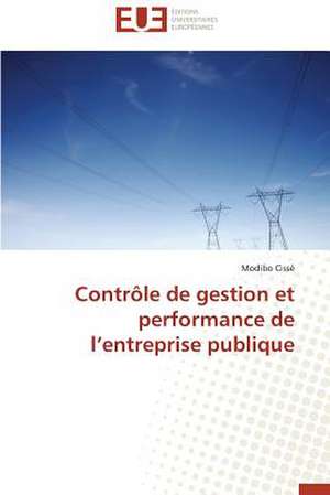 Controle de Gestion Et Performance de L'Entreprise Publique