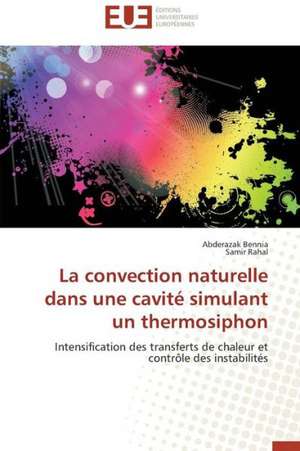 La Convection Naturelle Dans Une Cavite Simulant Un Thermosiphon: Analyse Du Roman Et Du Film de Abderazak Bennia