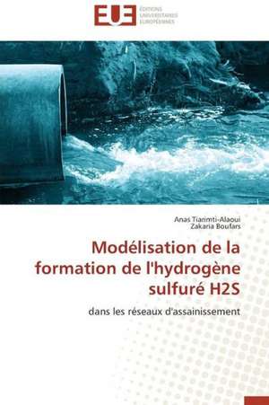 Modelisation de La Formation de L'Hydrogene Sulfure H2s: Entre L'Economique Et L'Ethique de Anas Tiarimti-Alaoui