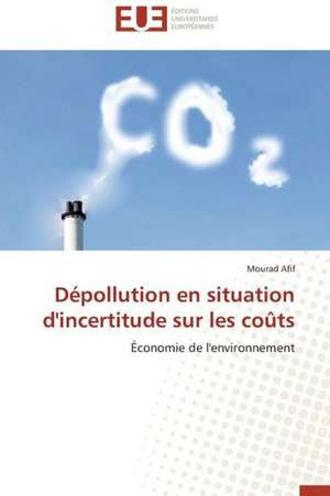 Depollution En Situation D'Incertitude Sur Les Couts: Stabilite Et Diagnostic de Mourad Afif