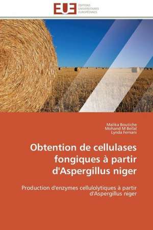 Obtention de Cellulases Fongiques a Partir D'Aspergillus Niger: Discours Sur La Violence de Malika Boutiche