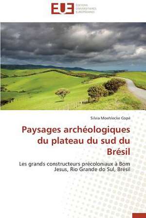 Paysages Archeologiques Du Plateau Du Sud Du Bresil