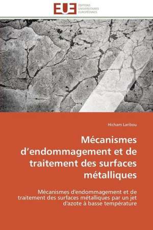 Mecanismes D Endommagement Et de Traitement Des Surfaces Metalliques: Materiau D'Avenir Pour La Pile Sofc? de Hicham Laribou