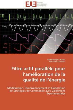 Filtre Actif Parallele Pour L Amelioration de La Qualite de L Energie: Une Analyse Theorique Et Empirique de Abdelmadjid Chaoui