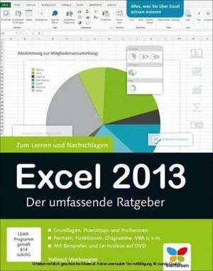 Excel 2013 de Helmut Vonhoegen