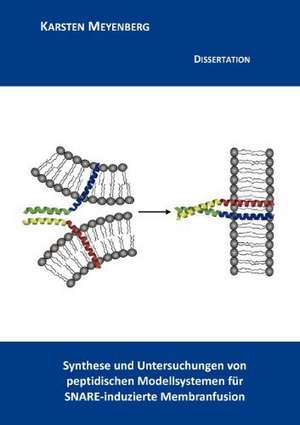 Synthese und Untersuchungen von peptidischen Modellsystemen für SNARE-induzierte Membranfusion de Karsten Meyenberg