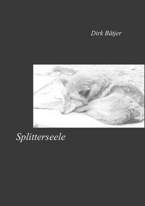 Splitterseele de Dirk Bätjer