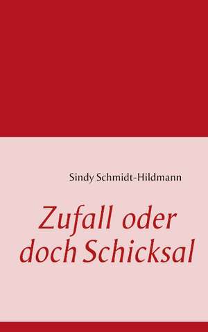 Zufall oder doch Schicksal de Sindy Schmidt-Hildmann