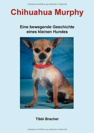 Chihuahua Murphy de Tibbi Bracher