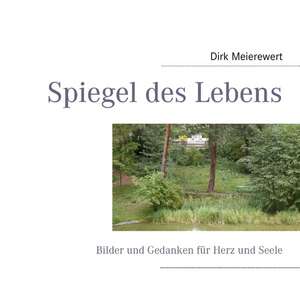 Spiegel des Lebens de Dirk Meierewert