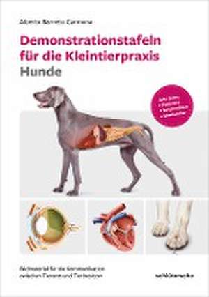 Demonstrationstafeln für die Kleintierpraxis Hunde de Alberto Berneto Carmona