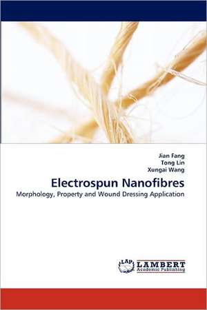 Electrospun Nanofibres de Jian Fang