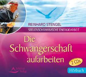 Die Schwangerschaft aufarbeiten de Reinhard Stengel