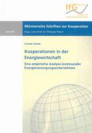 Kooperationen in der Energiewirtschaft de Carsten Sander