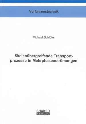 Skalenübergreifende Transportprozesse in Mehrphasenströmungen de Michael Schlüter