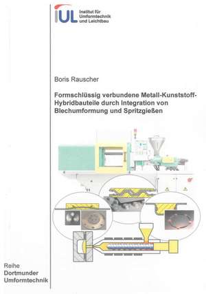 Formschlüssig verbundene Metall-Kunststoff-Hybridbauteile durch Integration von Blechumformung und Spritzgießen de Boris Rauscher