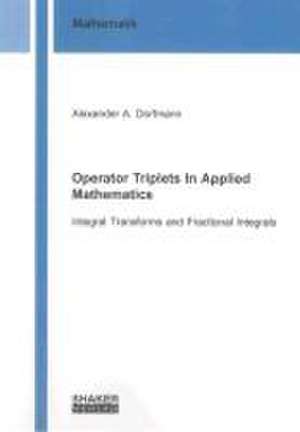 Operator Triplets In Applied Mathematics de Alexander A. Dorfmann