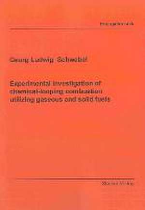 Experimental investigation of chemical-looping combustion utilizing gaseous and solid fuels de Georg Ludwig Schwebel