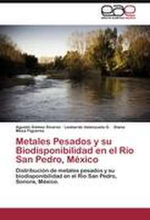 Metales Pesados y su Biodisponibilidad en el Río San Pedro, México de Agustín Gómez Álvarez