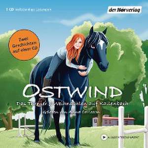 Ostwind. Das Turnier & Weihnachten auf Kaltenbach de Thilo