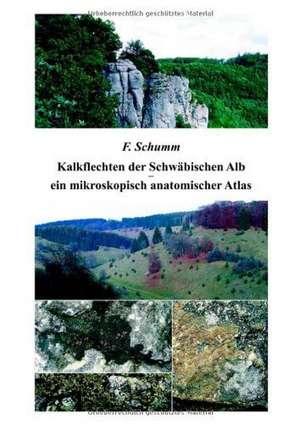 Kalkflechten der Schwäbischen Alb - ein mikroskopisch anatomischer Atlas de Felix Schumm