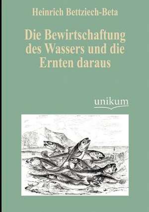 Bettziech-Beta, H: Bewirtschaftung des Wassers und die Ernte