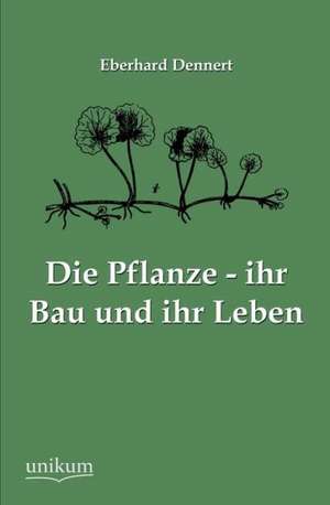 Die Pflanze - ihr Bau und ihr Leben de Eberhard Dennert