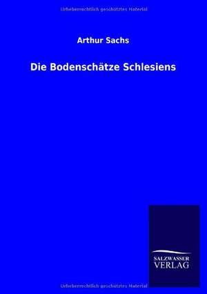 Die Bodenschätze Schlesiens de Arthur Sachs