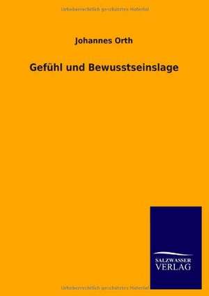 Gefühl und Bewusstseinslage de Johannes Orth