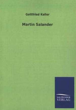 Martin Salander de Gottfried Keller