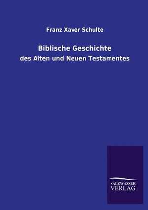 Biblische Geschichte de Franz Xaver Schulte