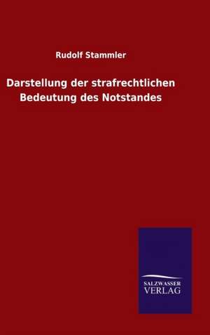 Darstellung Der Strafrechtlichen Bedeutung Des Notstandes: Die Bruder Vom Deutschen Hause / Marcus Konig de Rudolf Stammler