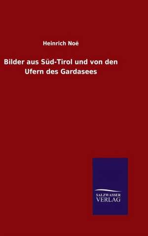 Bilder Aus Sud-Tirol Und Von Den Ufern Des Gardasees: Die Bruder Vom Deutschen Hause / Marcus Konig de Heinrich Noë