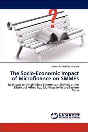 The Socio-Economic Impact of Microfinance on SMMEs de Peleka Pathekile Dzingwe