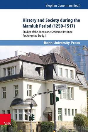 History and Society during the Mamluk Period (12501517): Studies of the Annemarie Schimmel Institute for Advanced Study II de Stuart Borsch