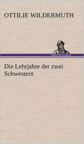 Die Lehrjahre Der Zwei Schwestern: Erzahlung in Neun Briefen de Ottilie Wildermuth