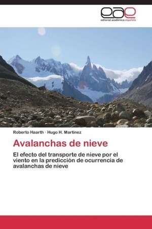 Avalanchas de nieve de Roberto Haarth