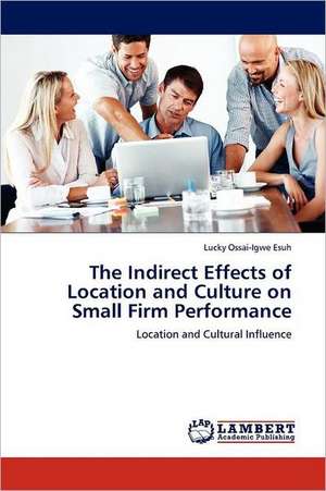 The Indirect Effects of Location and Culture on Small Firm Performance de Lucky Ossai-Igwe Esuh