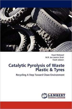 Catalytic Pyrolysis of Waste Plastic & Tyres de Fazal Mabood