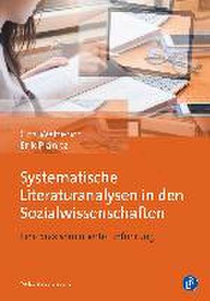 Systematische Literaturanalysen in den Sozialwissenschaften de Cita Wetterich