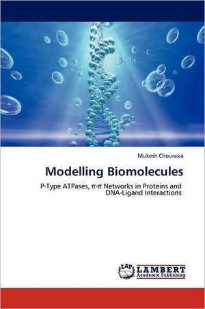 Modelling Biomolecules de Mukesh Chourasia