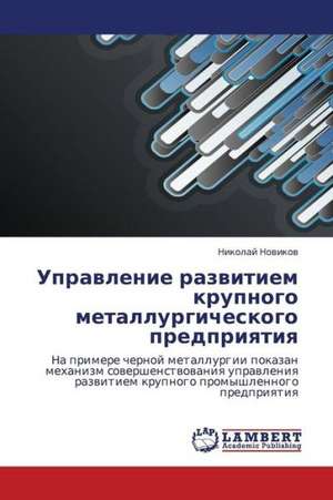 Upravlenie razvitiem krupnogo metallurgicheskogo predpriyatiya de Novikov Nikolay