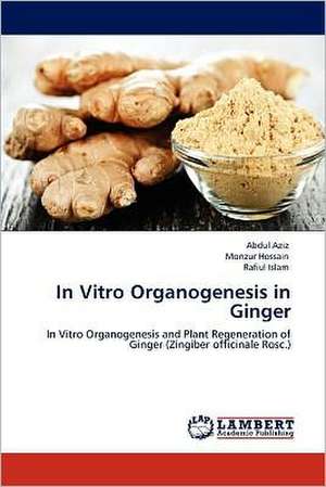 In Vitro Organogenesis in Ginger de Abdul Aziz